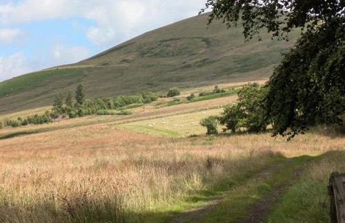 Pet Friendly - Lodge at Riverview Holiday Park - Foto 27