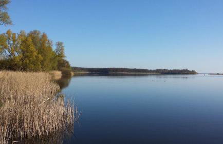 Ferienwohnung Müritzblick an der Müritz - Foto 21