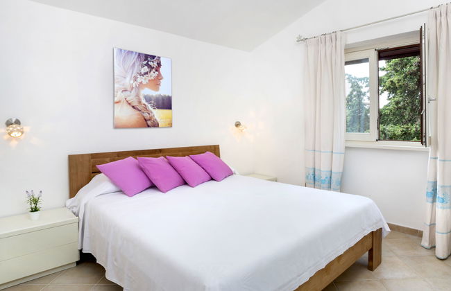 Bougainvillae Trilo - Foto 4