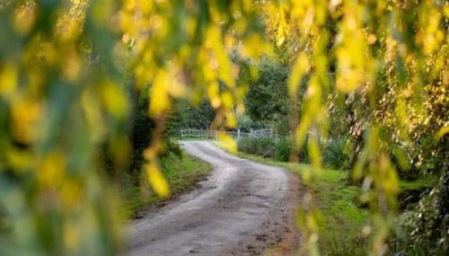 Luxury Farm House with Heated Pool & Jacuzzi - Foto 5