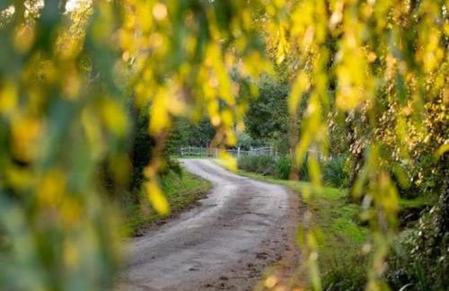 Luxury Farm House with Heated Pool & Jacuzzi - Foto 5