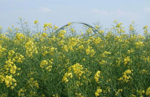 Ferienwohnung Tomme - Foto 19