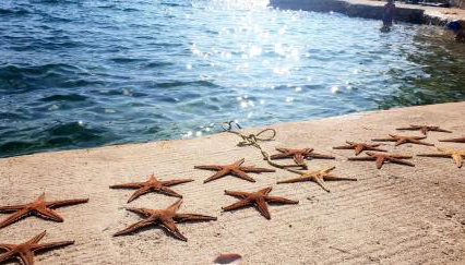 Apartman Jopa - Photo 4