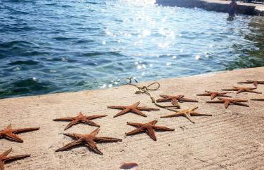 Apartman Jopa - Foto 4