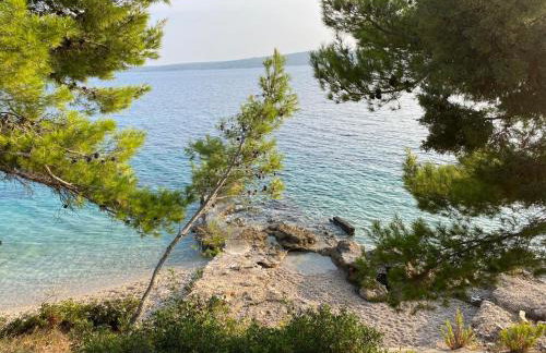 Zavala Residence - Foto 25