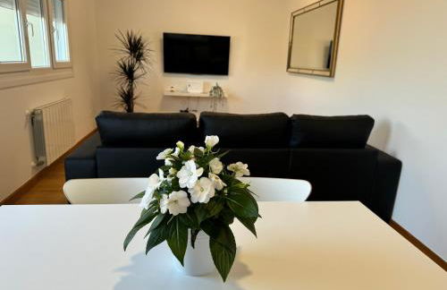 Apartamentos Olga Cantabria 2 - Foto 15