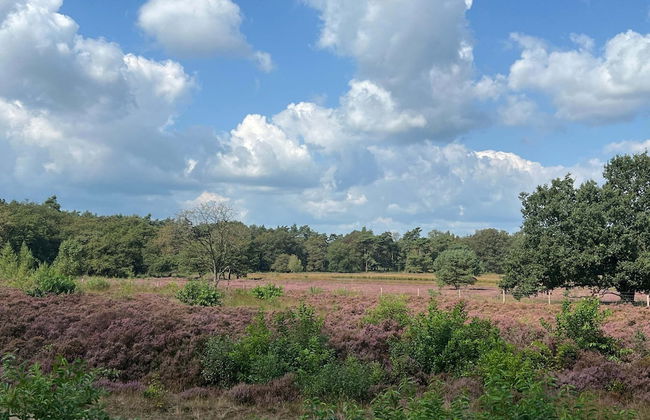 Stay at This Beautiful Accommodation in De Kiel - Photo 21