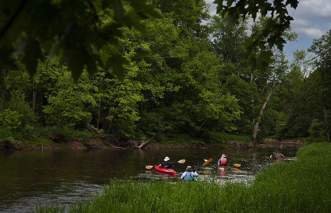 Boho Beaver - Foto 24