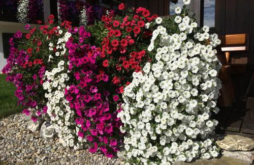 Ferienwohnung Schwarz Sonthofen - Foto 13