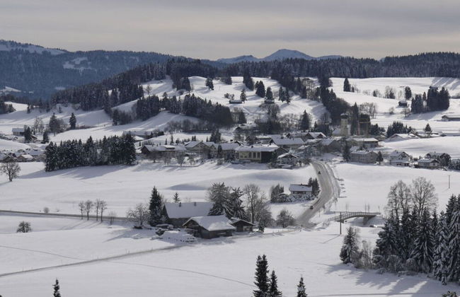 Holiday Apartment Hildegard Birds - Foto 18