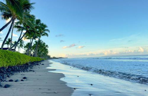 Puamana 30-2 - Foto 46