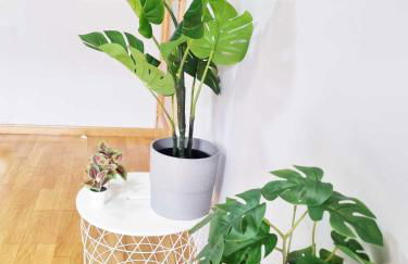 EL RINCÓN DE SAN NICOLÁS - Foto 12