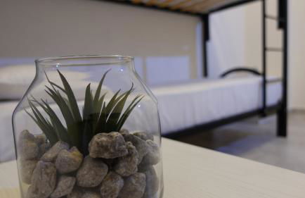 Stella di Mare - Foto 71