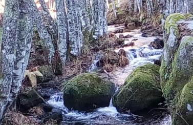 Casa Terreiro Da Lapa - Foto 51