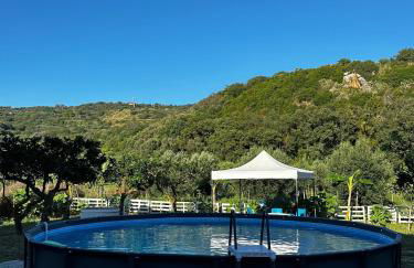 Melinda e Marlene - Foto 11