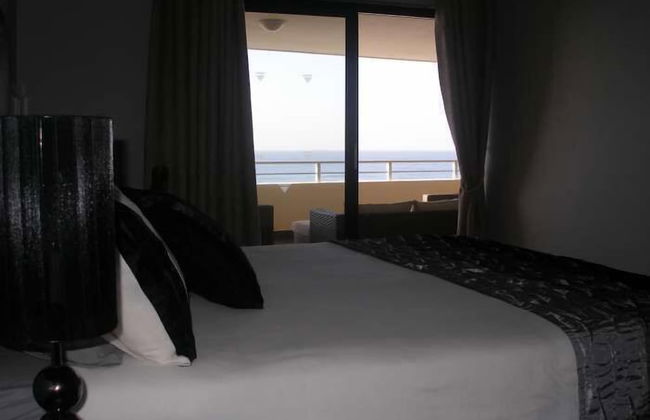 Lazy Lizard - Foto 8