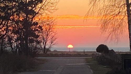 Esther - Photo 5, Garden