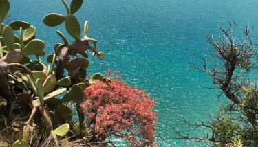 Residence La Perla - Photo 3