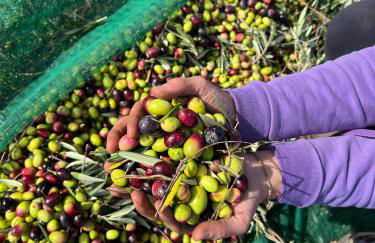 Agriturismo Poggio Ferrata - Foto 39