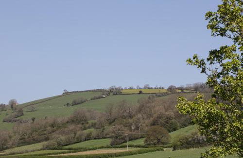 The Attic at Redmond Bottom - Photo 29