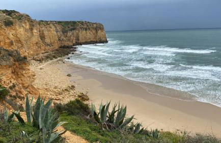 Casa Felicidade - Foto 62