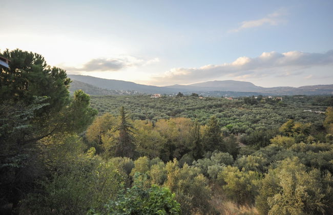 The architect's house - Foto 39