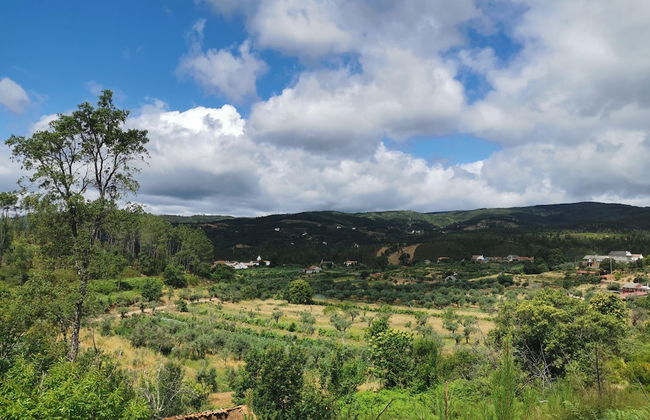 400 Year old 3-bedroom Farmhouse Central Portugal - Foto 9