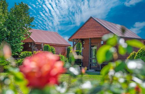 ZŁOTY OGRÓD - Foto 1