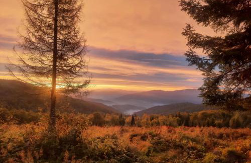 Gorczańskie Domki - Photo 37