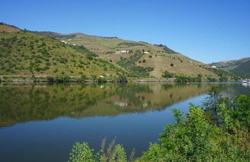 Vivenda Portela - Foto 59