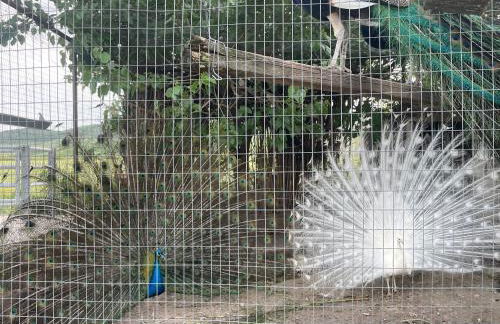 Oasi Rupestre - Photo 6