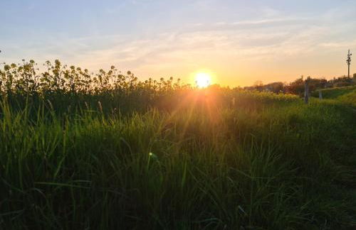 Gästehaus zum Rosengarten - Photo 53