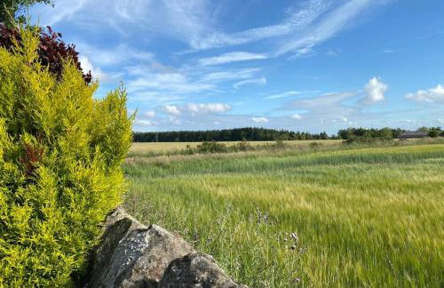 The Schoolhouse Cottages peaceful and quiet retreat with log burner - Photo 25