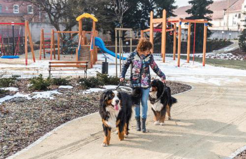 Pałac Bielawa - Foto 51