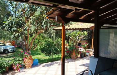 Oliveto e mare - Foto 20