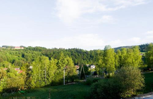 Apartamenty "Kwiaty Nocy" i "W Krainie Mchu" - Wisła - Foto 36