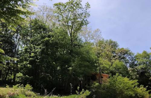 chalet sur pilotis en perigord - Foto 10