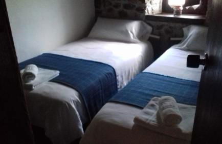 Flor de Pomar - Foto 66