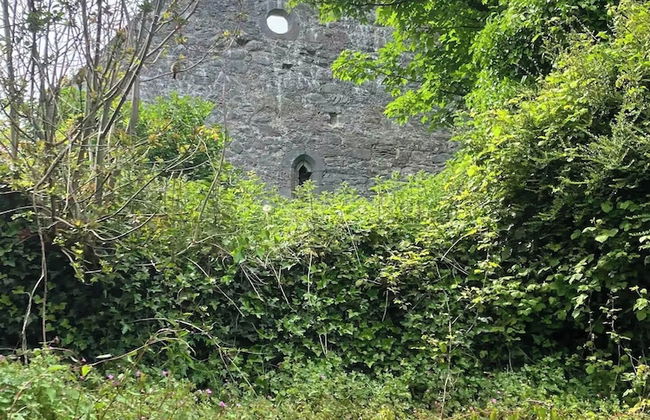 Kinvara Hideaway - 4 Guests - Near Galway - Foto 12