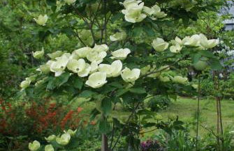 "Am Griebnitzsee" 14482 Potsdam-Babelsberg - Foto 18