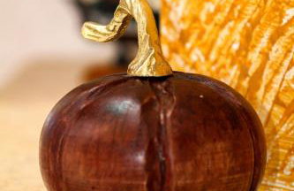 Village House - Photo 5