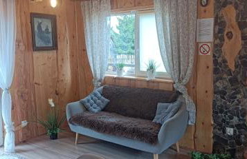 Bieszczadzka Chatka Gosia - Off Road , Quady , Jazda Konna - Foto 4