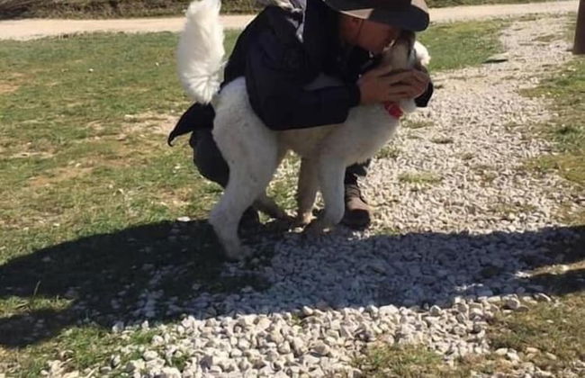 Apartment Red House - Foto 33