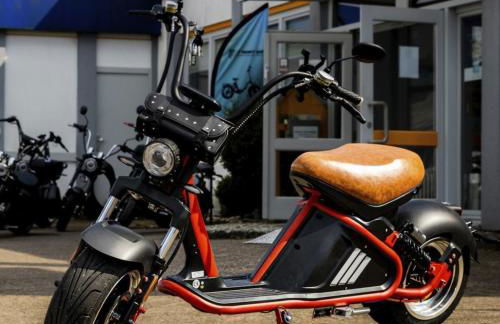 Altstadthaus Neubert - Foto 13