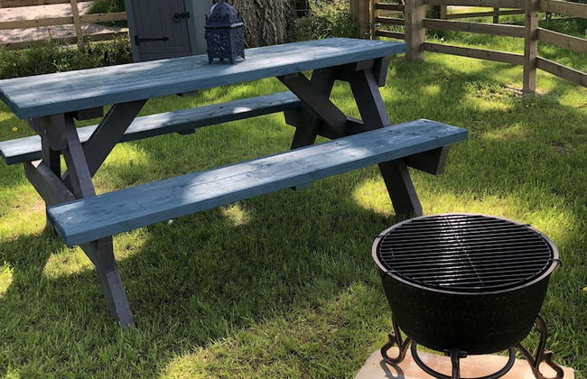The Peacock Shepherds Hut at Hafoty Boeth - Foto 31