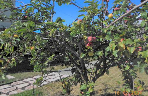 Alameda luxury 2BR 2BA house, AC, near ferry to San Francisco, 2 free parking spaces - Foto 43