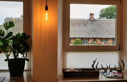 4 Sterne Wohnen "Zum alten Forsthof" am Schlosspark, App 3 "wunnerbor" - Foto 16