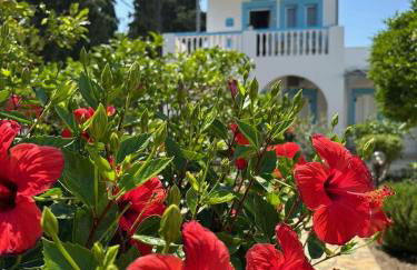 EFFIE'S STUDIOS - Foto 1