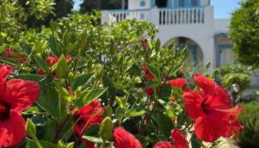 EFFIE'S STUDIOS - Foto 1