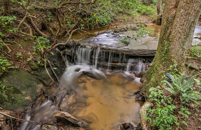 Gingershack Farms - Foto 47